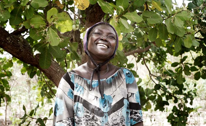 Giv et cashewtræ og støt kvinder i de fattigste lande