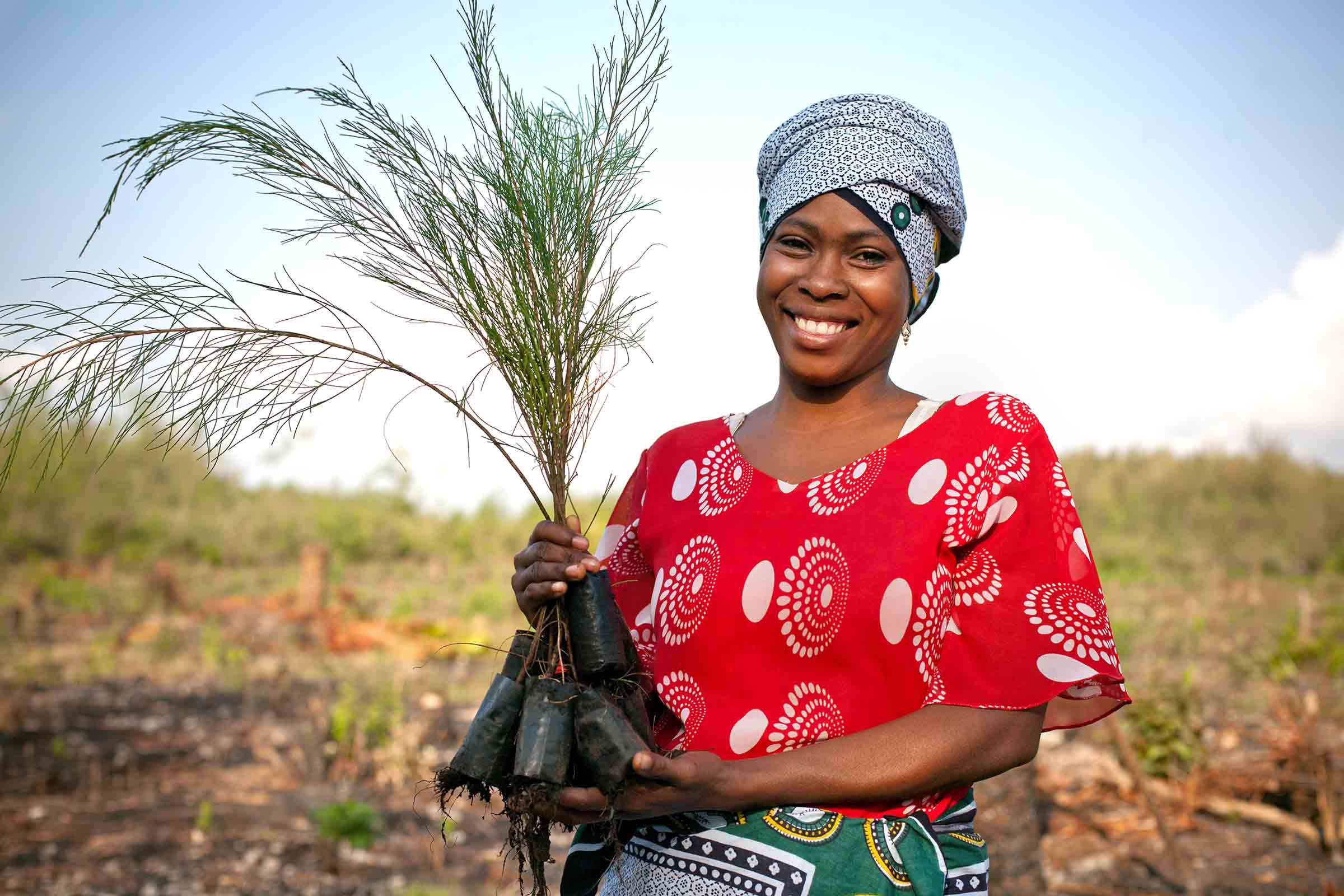 ©Evelyn Hockstein RS36855 RS7944