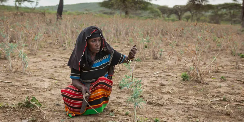 ©Makmende Media RS60561